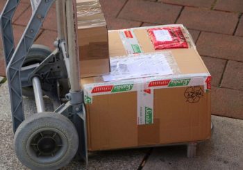 Jasa Ekspedisi Import