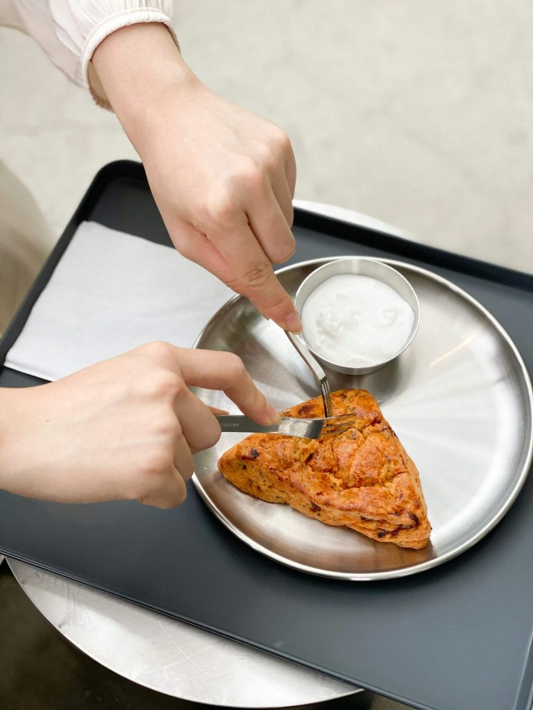 Stainless Food Tray